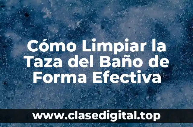Cómo Limpiar la Taza del Baño de Forma Efectiva