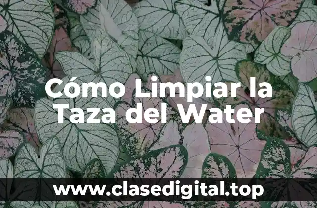 Cómo Limpiar la Taza del Water