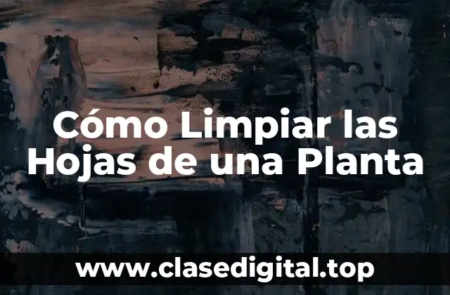 Cómo Limpiar las Hojas de una Planta