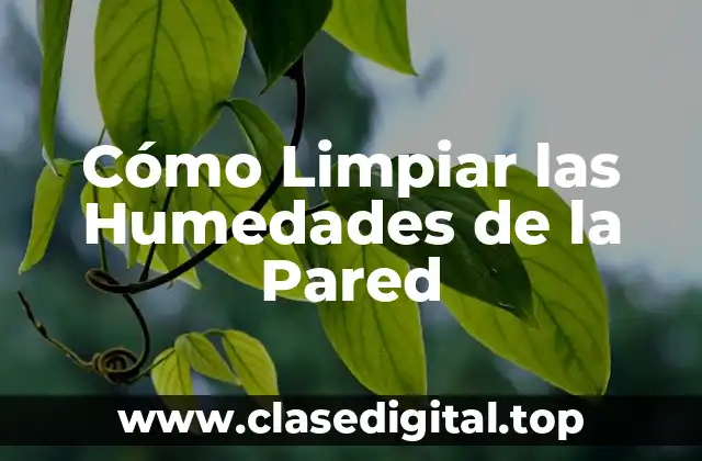 Cómo Limpiar las Humedades de la Pared