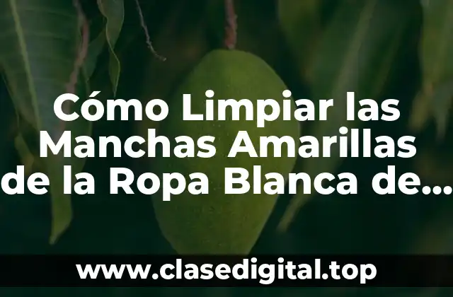 Cómo Limpiar las Manchas Amarillas de la Ropa Blanca de Forma Efectiva