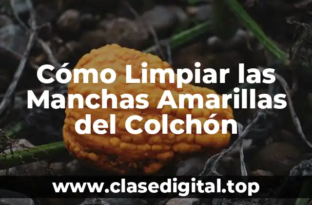 Causas de las Manchas Amarillas en los Colchones