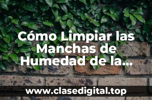 Cómo Limpiar las Manchas de Humedad de la Pared