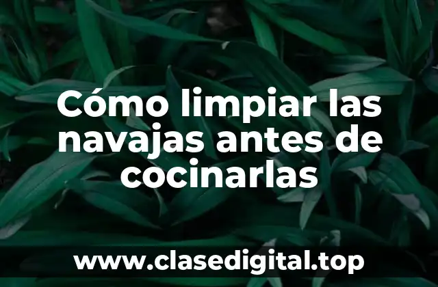 Cómo limpiar las navajas antes de cocinarlas