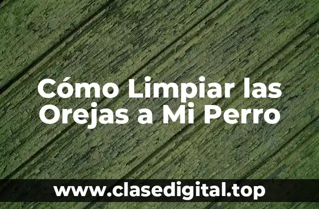 Cómo Limpiar las Orejas a Mi Perro