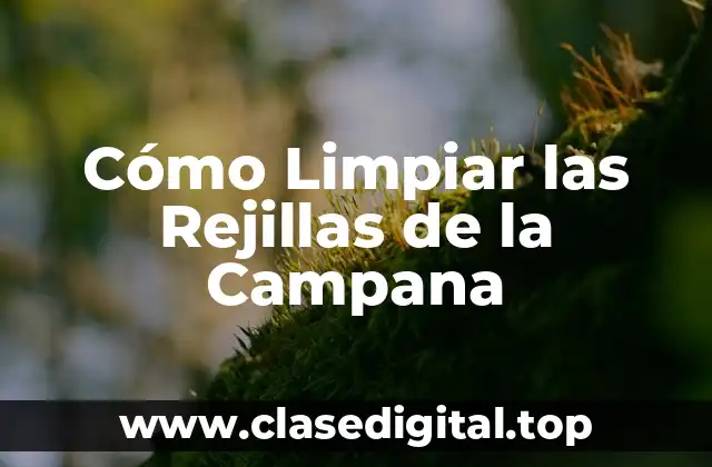 Cómo Limpiar las Rejillas de la Campana