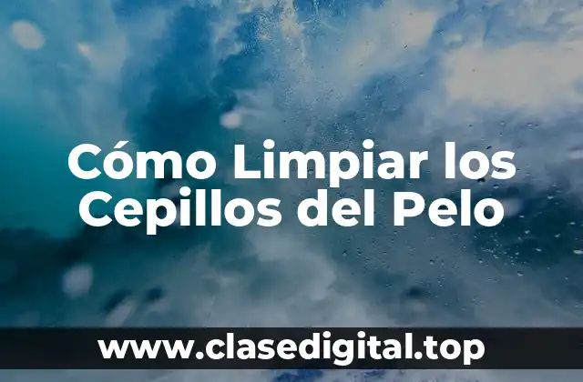 Cómo Limpiar los Cepillos del Pelo