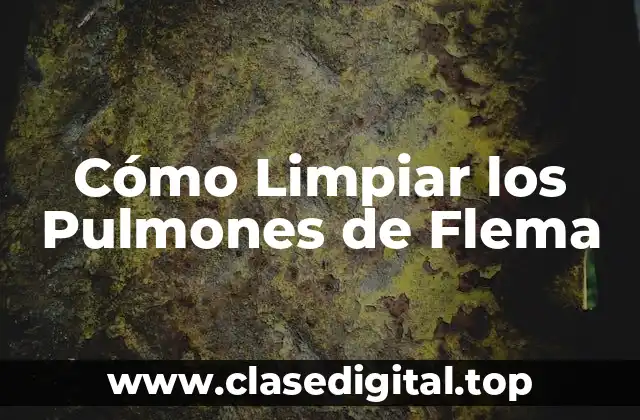 Cómo Limpiar los Pulmones de Flema