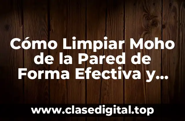Cómo Limpiar Moho de la Pared de Forma Efectiva y Segura