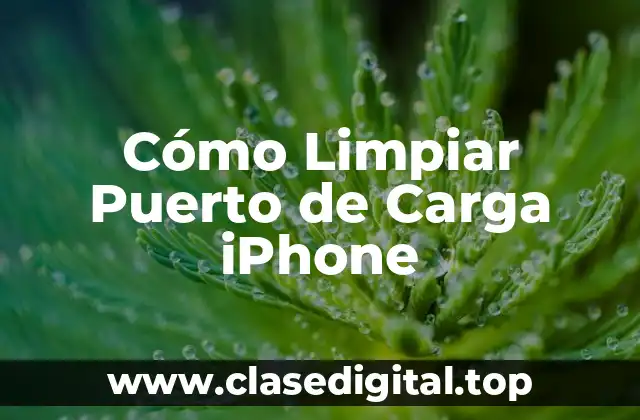 Cómo Limpiar Puerto de Carga iPhone