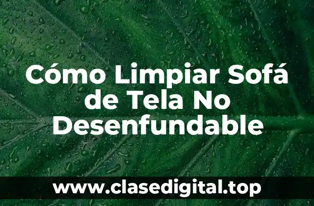 Cómo Limpiar Sofá de Tela No Desenfundable