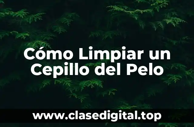 Cómo Limpiar un Cepillo del Pelo