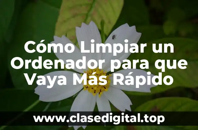 Cómo Limpiar un Ordenador para que Vaya Más Rápido