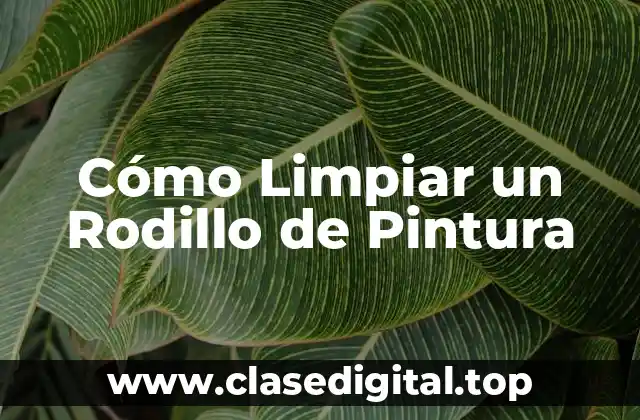 Cómo Limpiar un Rodillo de Pintura