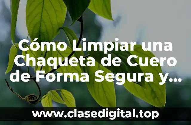 Cómo Limpiar una Chaqueta de Cuero de Forma Segura y Efectiva