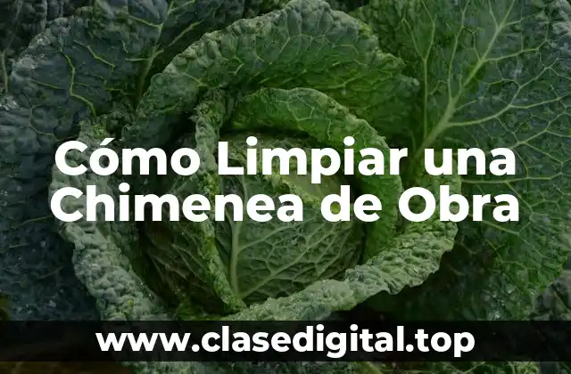 ¿Por Qué es Importante Limpiar una Chimenea de Obra?