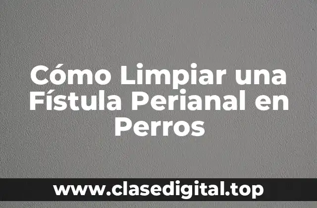 Cómo Limpiar una Fístula Perianal en Perros