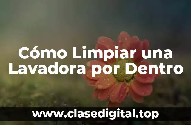Cómo Limpiar una Lavadora por Dentro
