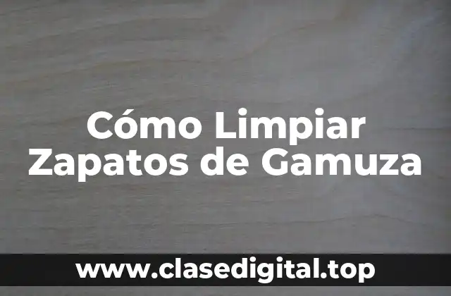 Cómo Limpiar Zapatos de Gamuza