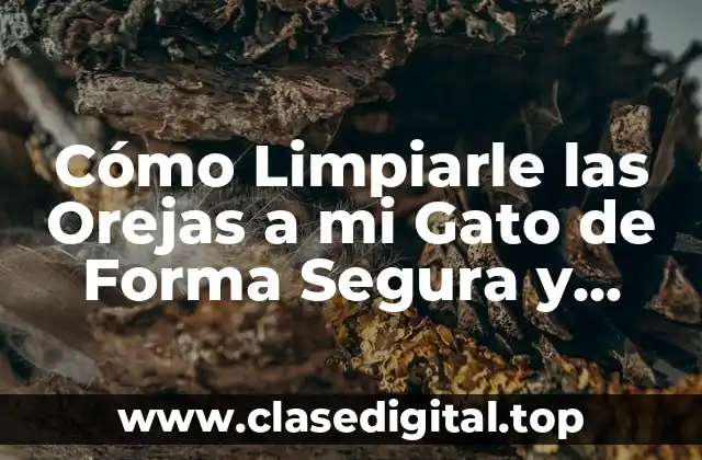 Cómo Limpiarle las Orejas a mi Gato de Forma Segura y Efectiva