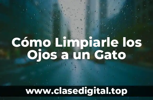 Cómo Limpiarle los Ojos a un Gato