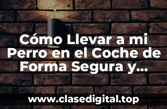 Cómo Llevar a mi Perro en el Coche de Forma Segura y Cómoda
