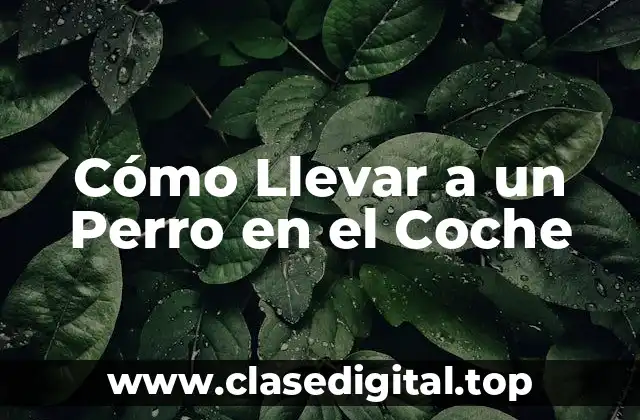 Preparación para el Viaje: Consejos yEquipamiento Necesario