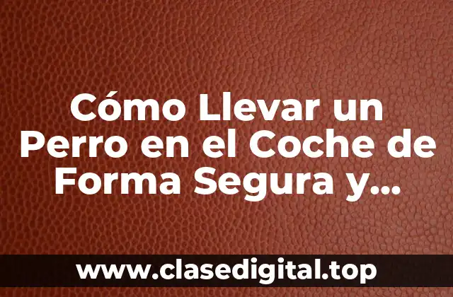 Cómo Llevar un Perro en el Coche de Forma Segura y Responsable