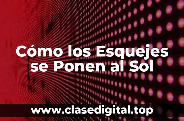 Cómo los Esquejes se Ponen al Sol