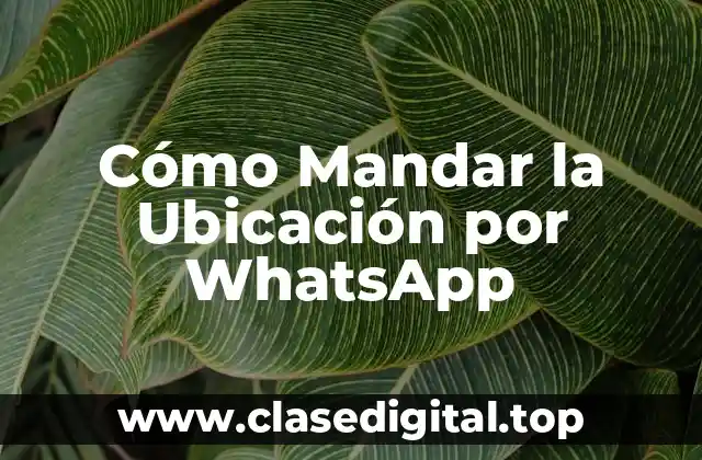 ¿Por qué es importante compartir la ubicación en WhatsApp?