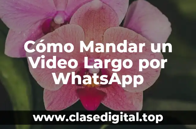 Cómo Mandar un Video Largo por WhatsApp