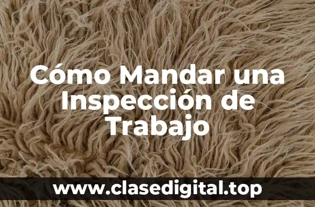 Cómo Mandar una Inspección de Trabajo