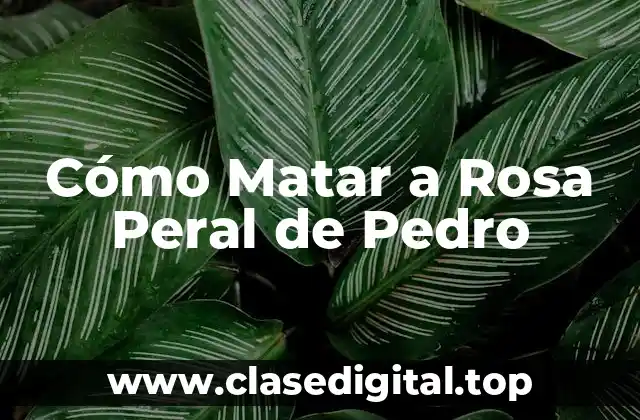 Cómo Matar a Rosa Peral de Pedro