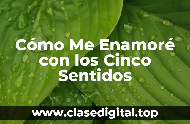 El Poder del Olfato en el Enamoramiento