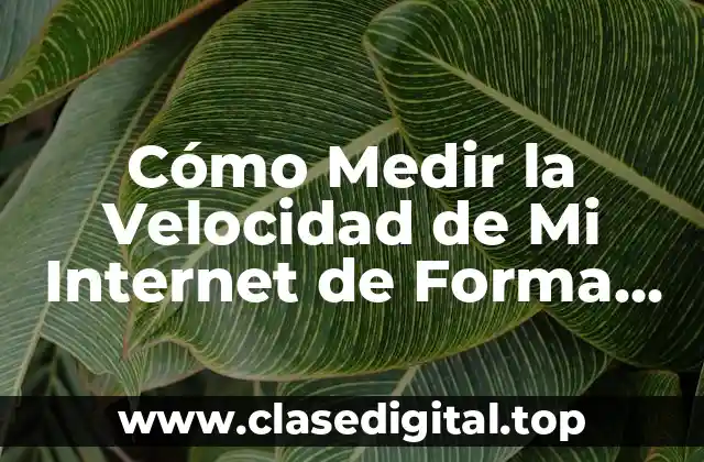 ¿Qué Es la Velocidad de Internet y Por Qué Es Importante?