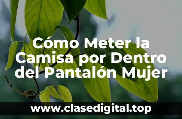 Cómo Meter la Camisa por Dentro del Pantalón Mujer