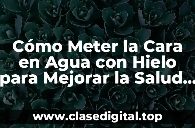 ¿Cuáles son los Beneficios de Meter la Cara en Agua con Hielo?