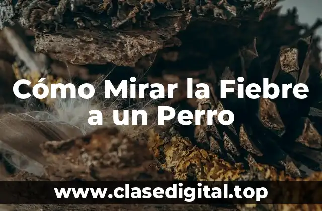 Cómo Mirar la Fiebre a un Perro