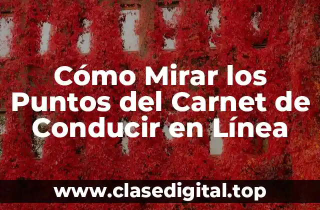 Cómo Mirar los Puntos del Carnet de Conducir en Línea