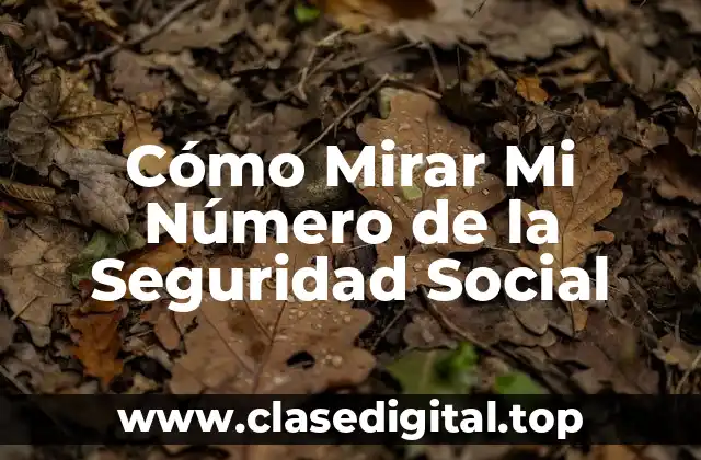 Cómo Mirar Mi Número de la Seguridad Social