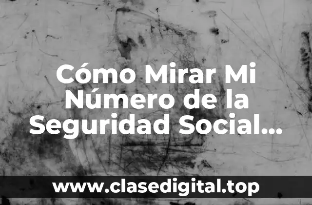 Cómo Mirar Mi Número de la Seguridad Social Online Gratis