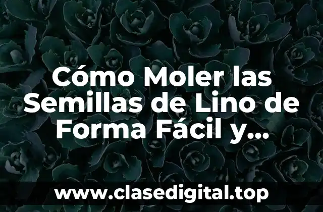 Cómo Moler las Semillas de Lino de Forma Fácil y Saludable