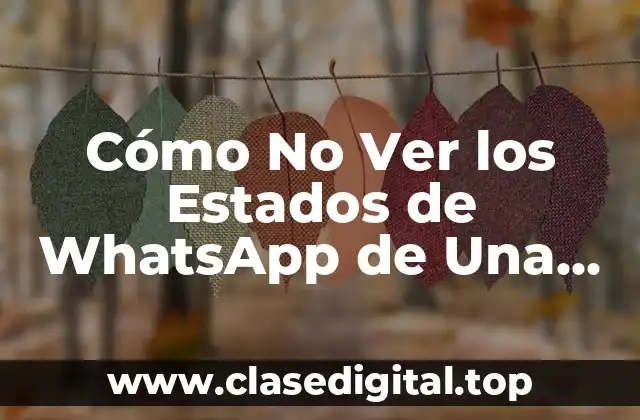 ¿Por qué Alguien Querría No Ver los Estados de WhatsApp de Una Persona?