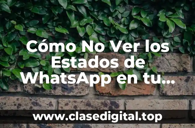 ¿Qué son los Estados de WhatsApp y cómo funcionan?