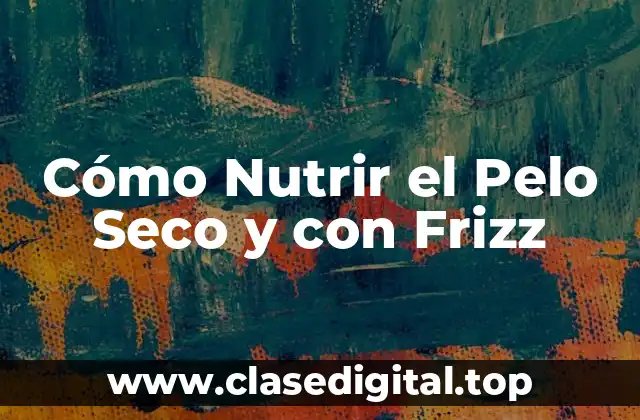 Cómo Nutrir el Pelo Seco y con Frizz