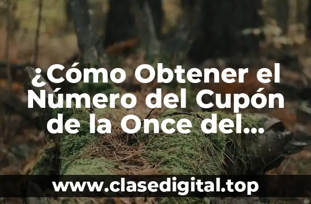¿Cómo Obtener el Número del Cupón de la Once del Lunes?