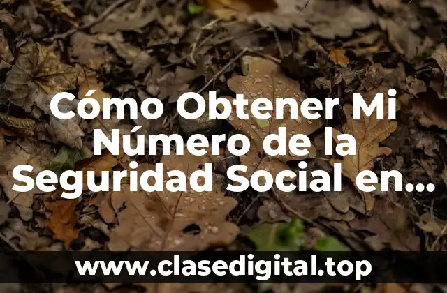 ¿Quién Necesita un Número de la Seguridad Social?
