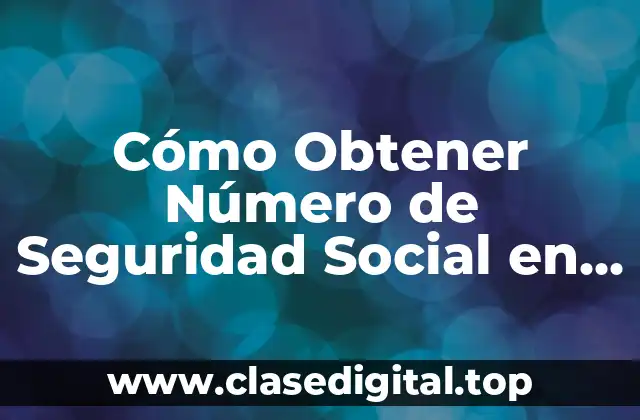 Cómo Obtener Número de Seguridad Social en los EE. UU.