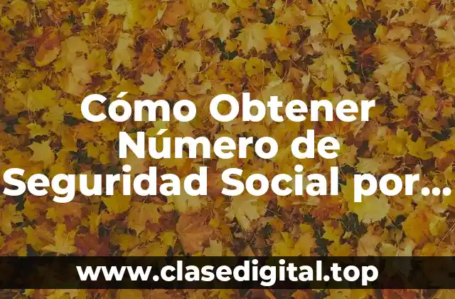 Requisitos para Obtener un Número de Seguridad Social