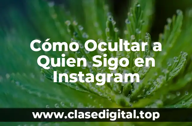 Cómo Ocultar a Quien Sigo en Instagram